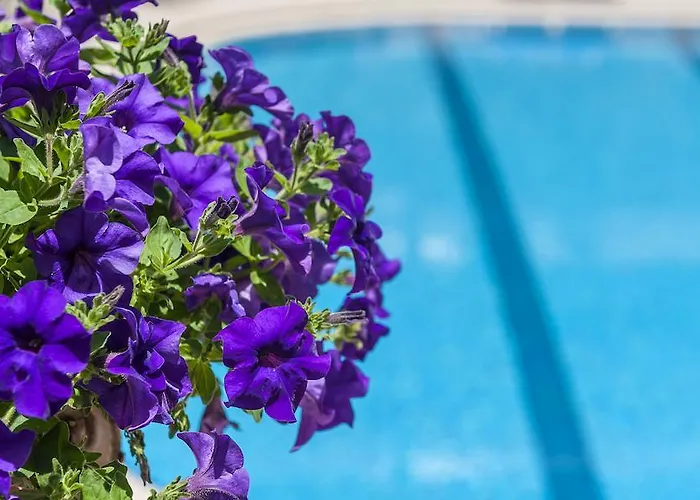 Апарт-отель Ilios Adults Only 3*