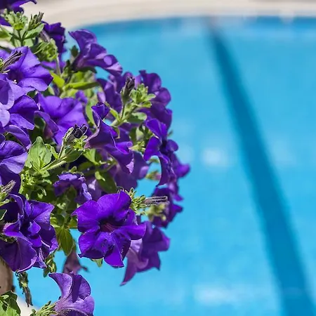 Apartmanhotel Ilios Adults Only 3*