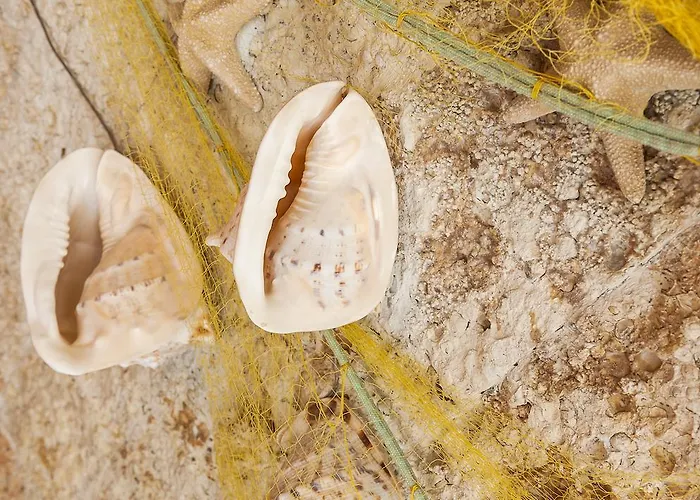 Aparthotel Ilios Beach Hotel Apartments Adults Only Rethymno (Crete)